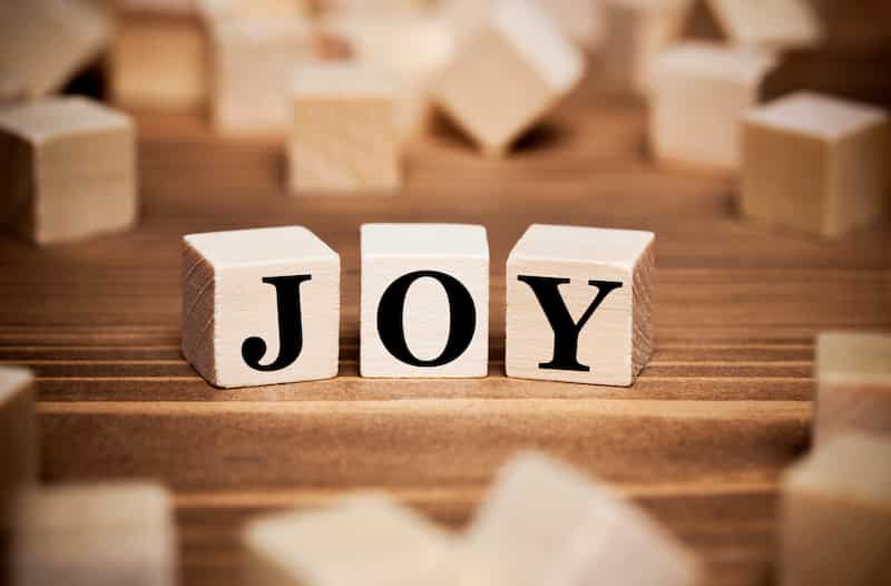 Joy